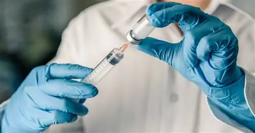 Как доказать, что мы вакцинированы против COVID-19? Специальный код подтвердит это