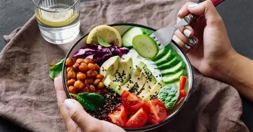 Спокойной ночи и наслаждайтесь - Night Eating Team