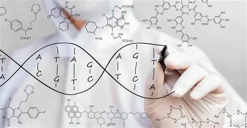Загадки муковисцидоза