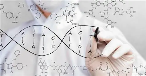 Секреты муковисцидоза