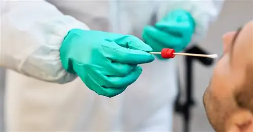 Коронавирусная инфекция и отрицательный результат теста – как это возможно? МЫ ОБЪЯСНЯЕМ