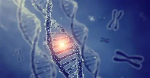 Генное сознание