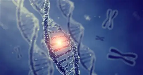 Осведомленность о генах