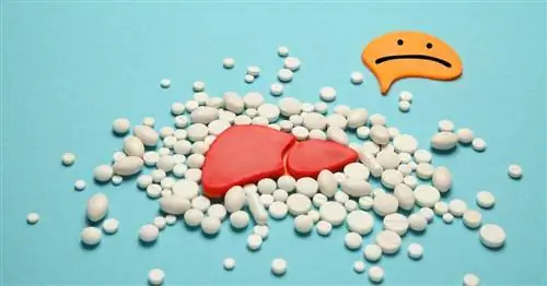 Вальпроевая кислота уменьшает отложение жира в печени и снижает уровень сахара в крови