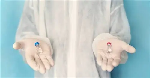 Moderna или Pfizer - какая вакцина от COVID-19 эффективнее