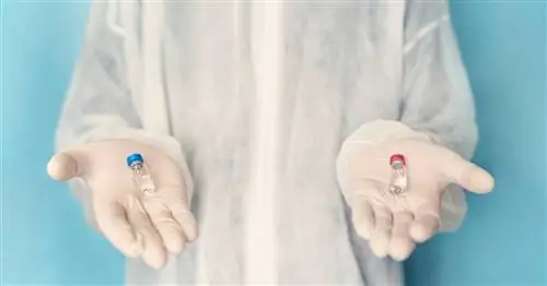 Moderna или Pfizer - какая вакцина от COVID-19 эффективнее? Новое исследование разрешает споры