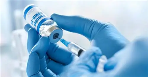 Бустер Pfizer восстанавливает высокий иммунитет