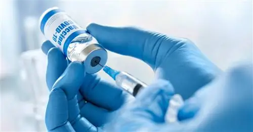 Нужен бустер? У американцев есть ответ