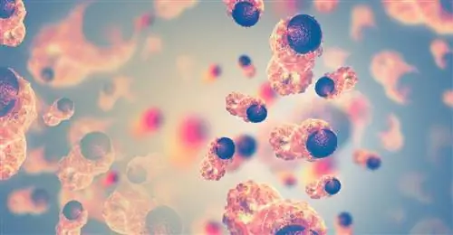 Гены острого миелоидного лейкоза