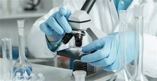 Биопсия - показания - курс