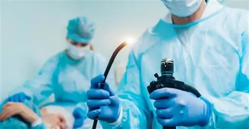 Эндоскопическое исследование - нос, пищевод, желудок, как подготовиться