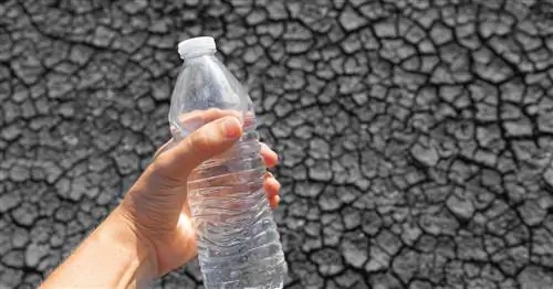 Пластиковые антитела