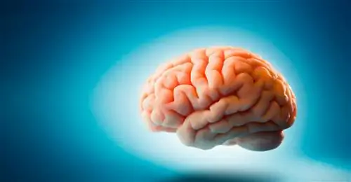 затвор 260226050