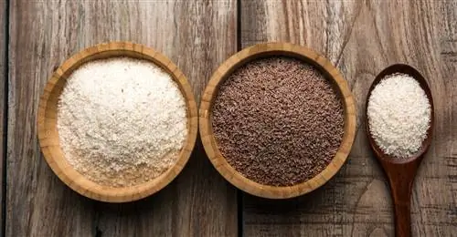 Vital волокно - подорожник и псиллиум