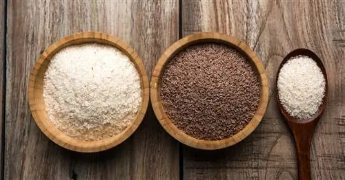 Жизненно важные волокна – пищевая ценность, применение, польза