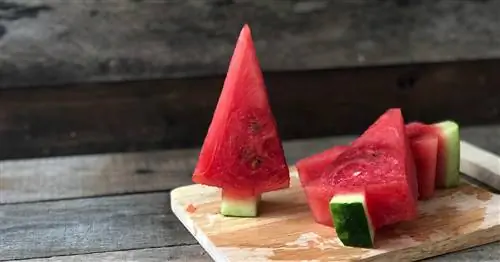 Цитруллин - добавка, безопасность применения, влияние на здоровье