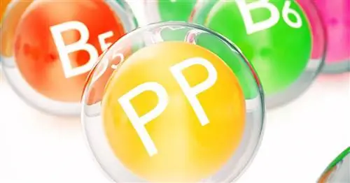 Витамин РР - свойства, роль, влияние на здоровье. Дефицит витамина РР