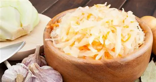 Силосы - питательные вещества, свойства, вредность. Почему стоит есть огурцы?