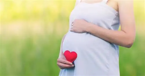 Пробиотики при беременности – профилактика пищевой аллергии