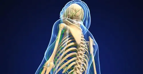 Алкоголь затрудняет заживление костей