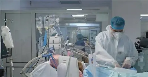 Внезапное увеличение числа людей в больницах и на аппаратах ИВЛ. Почему это происходит?