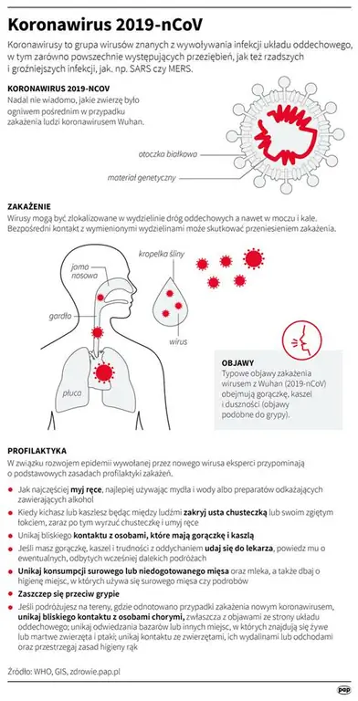 Коронавирус - Инфографика Коронавирус - Инфографика