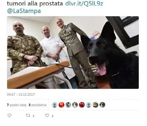 Изображение Изображение