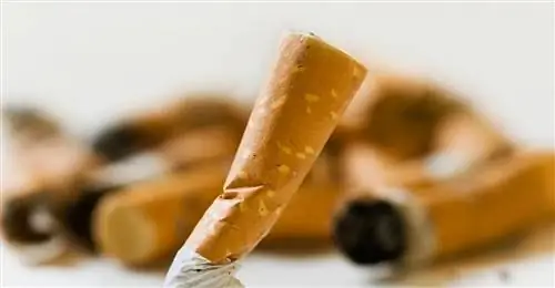 Бездымные сигареты Бездымные сигареты