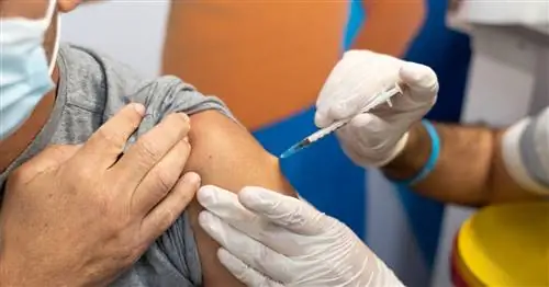 Почему в Израиле умирает так много привитых людей? «Вакцина не пуленепробиваемая»