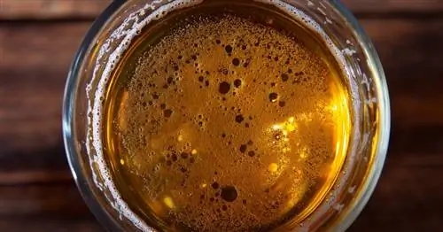 Пиво может быть полезным для здоровья. Особенно у мужчин