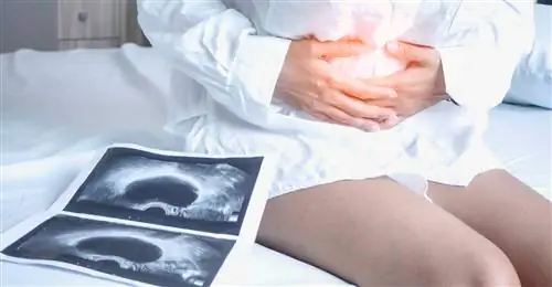 жалюзи 1456780094 жалюзи 1456780094