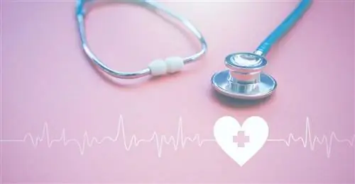 Фруктоза повышает риск сердечно-сосудистых заболеваний Фруктоза повышает риск сердечно-сосудистых заболеваний