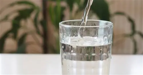 Когда пить воду? Это лучшее время, чтобы дотянуться до стакана