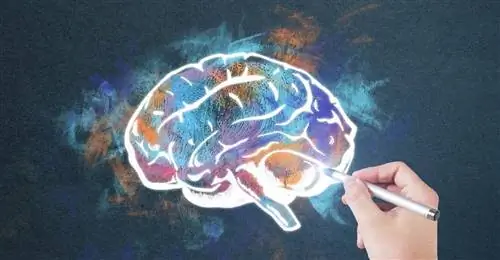 Естественные роды полезны для мозга ребенка Естественные роды полезны для мозга ребенка