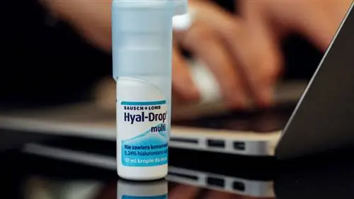 Позаботьтесь о своих глазах как профессионал