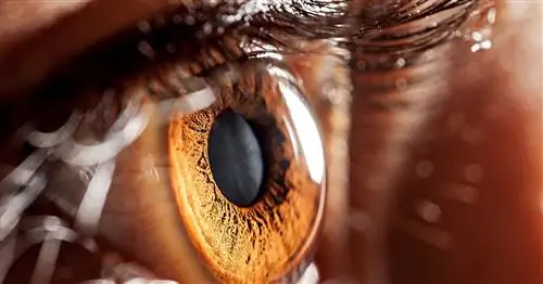 Позаботьтесь о своих глазах как профессионал