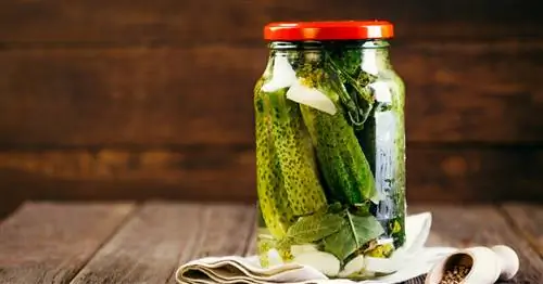 Маринованные огурцы - как приготовить? Почему стоит есть маринованные огурцы?