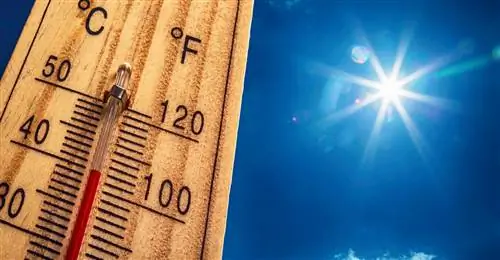 Термические и химические ожоги