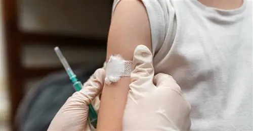 Вакцинация детей от COVID-19 Вакцинация детей от COVID-19