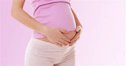 жалюзи 434189848 жалюзи 434189848
