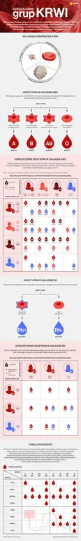 Группы крови - инфографика