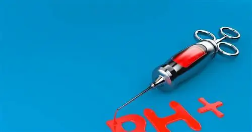 Диета по группе крови – предположения, меню для отдельных групп