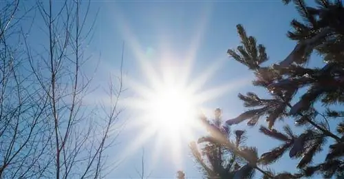 Зимнее солнцестояние