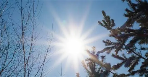 Зимнее солнцестояние - что это такое, симптомы, подготовка, дата