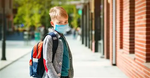 Учащиеся в школах должны носить маски, утверждают ученые