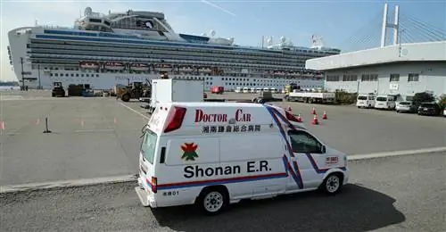 Еще 39 человек заразились коронавирусом на корабле Diamond Princess Еще 39 человек заразились коронавирусом на корабле Diamond Princess