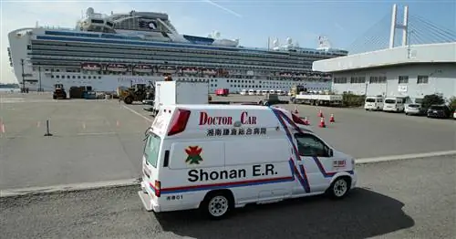 Карантин на Diamond Princess принес больше вреда, чем пользы