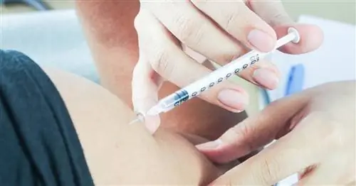 Бесплатная вакцинация от гриппа для пожилых людей в Варшаве