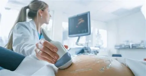 УЗИ среднего роста – когда его нужно делать? Подготовка и курс геми УЗИ