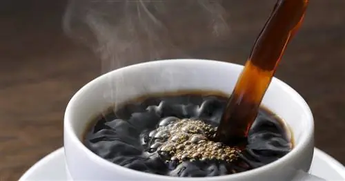 Употребление кофе снижает риск серьезных аритмий
